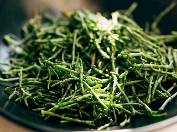 Samphire