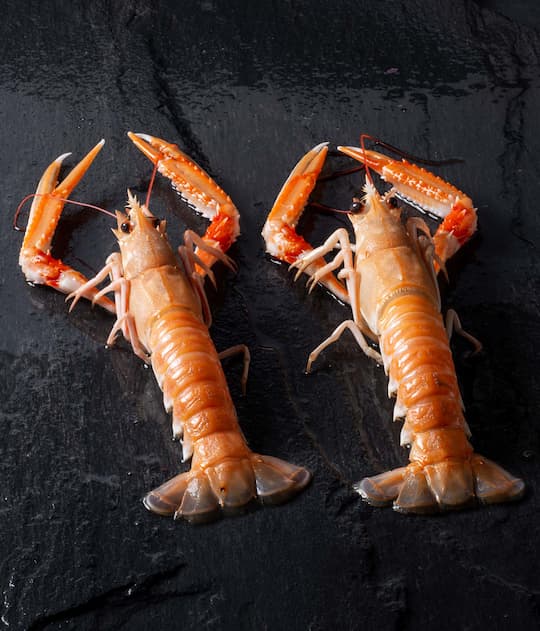 Langoustine Bisque with Cognac