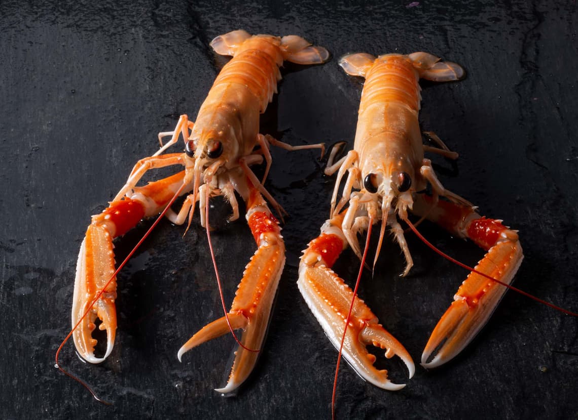 Bisque de Langoustines au Cognac