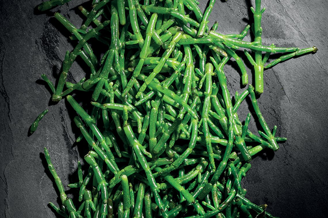 Samphire